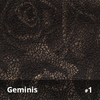 Geminis 1